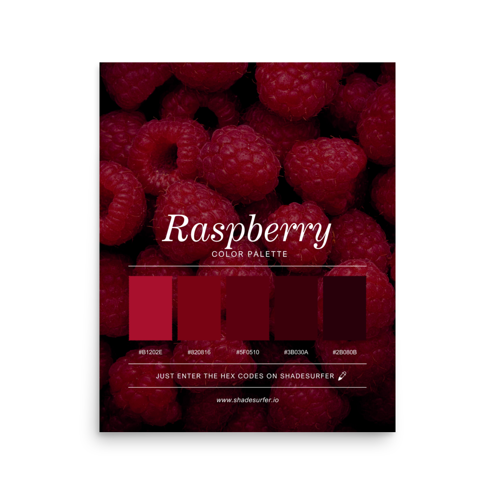 ShadeSurfer - Custom Color Palette Generator
